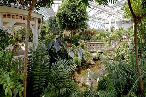 Key west butterfly conservatory - If you love butterflies, this is the spot for you. The Key West Butterfly & Nature Conservatory is filled with 50 to 60 species of colorful winged creatures that seemingly float through the air in ...